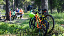 MTB cyklar stående vid träd där familj fikar, i Orsa Grönklitt!