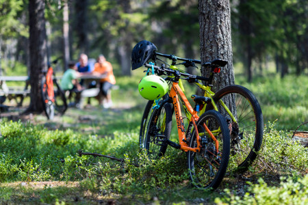 Två terrängcyklar står lutade mot ett träd i skogen, personer sitter vid ett picknickbord i bakgrunden.