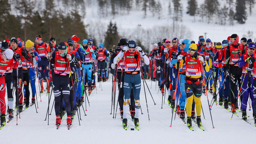 Starten av ett långlopp i klassisk stil med många skidåkare i färgglada dräkter på en snötäckt bana i skogsmiljö.