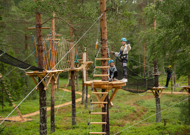 Personer i sele och hjälm klättrar i höghöjdsbana i skogsmiljö.
