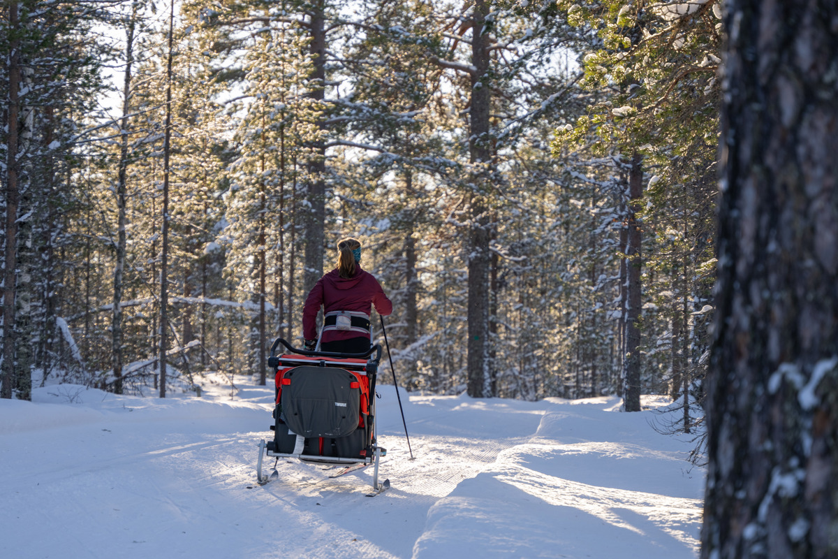 Person åker längdskidor genom en snöig skog och drar en pulka.
